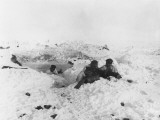 Buy German Troops WWI at AllPosters.com