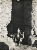Camel Driver at Petra, Jordan