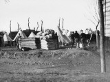 Base Camp at Le Havre on the Western Front in France During World War I in December 1914