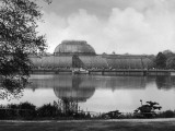 Kew Gardens Palm House