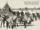 Samoyedic People in the Province of Arkhangelsk, Northern Russia, with their Reindeer