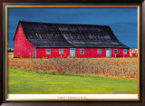 Big Red Framed Art Print