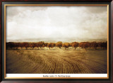 Buy The Olive Grove at AllPosters.com