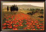 Hills of Tuscany I Framed Art Print