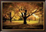 Buy Under the Tree at AllPosters.com