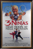 Buy 3 Ninjas at AllPosters.com