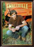 Buy Smallville at AllPosters.com