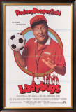 Ladybugs