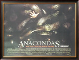 Anacondas