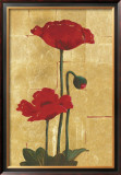 Golden Poppy II