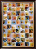 Lilies