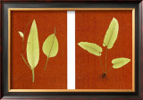 Buy Orient Fern Series at AllPosters.com