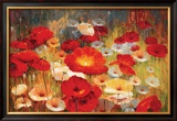 Meadow Poppies I Framed Art Print