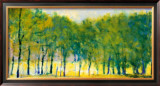 Buy Soft Green Grove at AllPosters.com