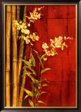 Zen Contemporary