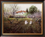 Buy Honey Bees at AllPosters.com