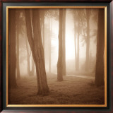 Buy Woods Study II at AllPosters.com