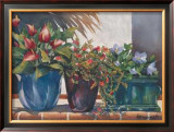 Buy Portulaca in the Sun at AllPosters.com