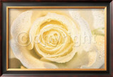 Buy La Paloma at AllPosters.com