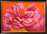 Buy Think Pink at AllPosters.com