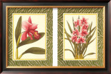 Buy Eleganza! at AllPosters.com