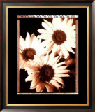 Buy Beautiful Flower IV at AllPosters.com