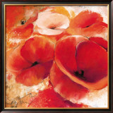 Buy Mohnspiel at AllPosters.com