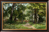 In the Park