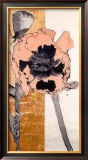 Poppy