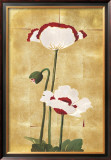 Golden Poppy I