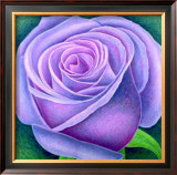 Buy Big Rose, c.2004 at AllPosters.com