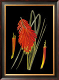 Buy Maui Midnight II at AllPosters.com