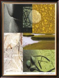Egg And Nest-Acadia Series