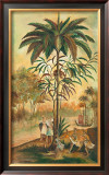 Paradisimo II