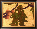 Buy Pin Oak at AllPosters.com