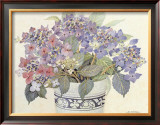 Buy Lace Cap Hydrangeas at AllPosters.com