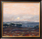 Buy Poppy Fields at AllPosters.com