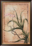 Buy Asian Orchid II at AllPosters.com