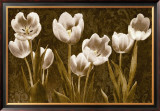 Buy Baroque Tulips at AllPosters.com