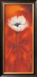 Anemone II