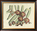 Buy Botanical I at AllPosters.com