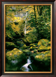 Buy Elowah Falls at AllPosters.com