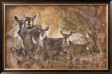 Buy African Savannah I at AllPosters.com