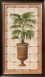 Buy Mediterranean Palms II at AllPosters.com
