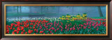 Buy Keukenhof at AllPosters.com