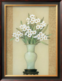 Narcissus