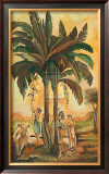 Paradisimo I
