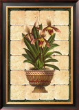 Buy South Sea Orchids I at AllPosters.com
