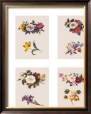 Buy Petit Fleurs at AllPosters.com