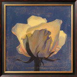 Buy Glowing White Rose at AllPosters.com